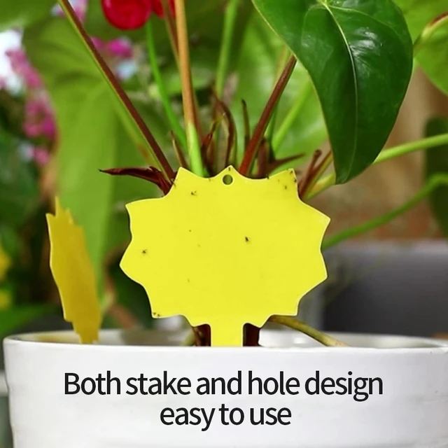 10 Darabos Ragadós Rovarlemez Gyümölcslégy Szúnyog Csapdák Erős Kétoldalas Sárga Ragacsos Növényi Virágok Cserepes Matrica Címkék - Image 3