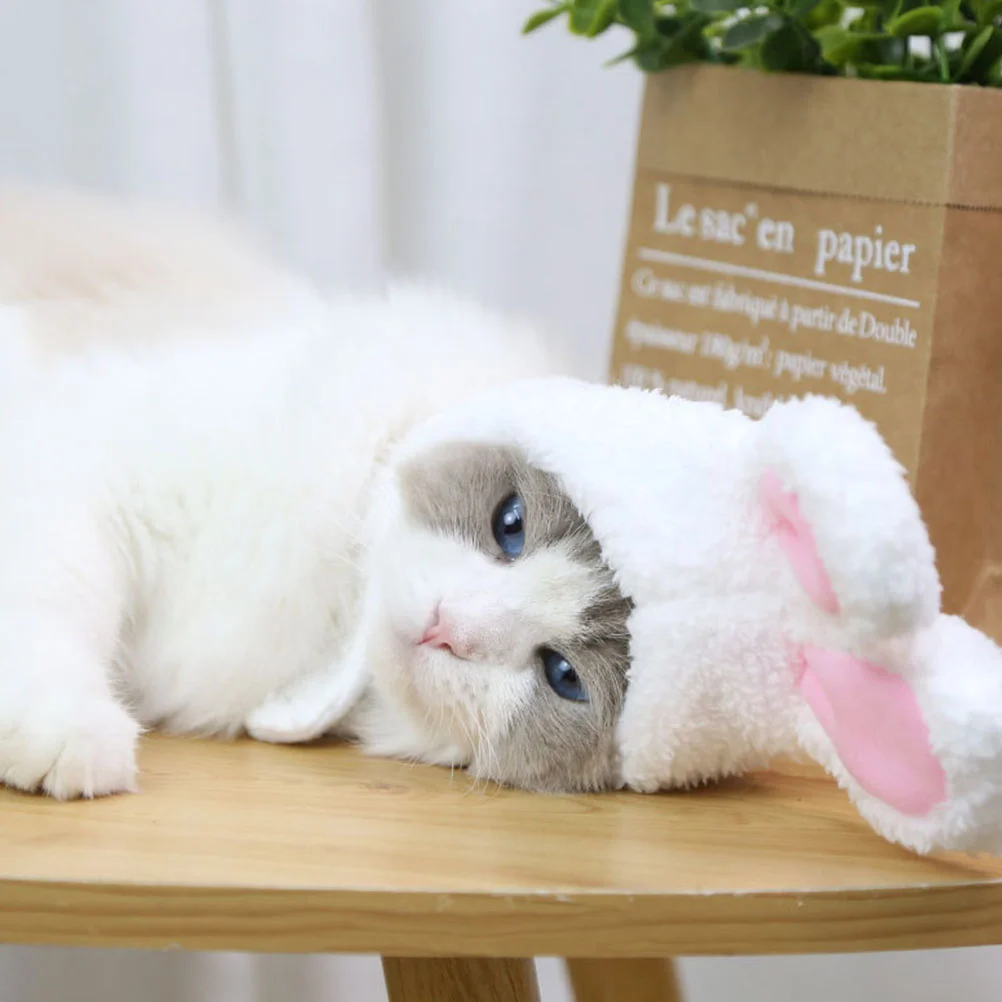 

2 Pcs Pet Hat Kitten Hats Adorable Rabbit Decorative Cat Cashmere Washable Costume