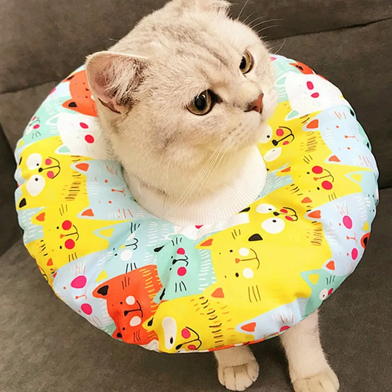 Collare Elizabeth Collo Regolabile Collare Impermeabile Cono Per Animali Domestici E-Collare Con Collare Modello Imbracature Guinzagli