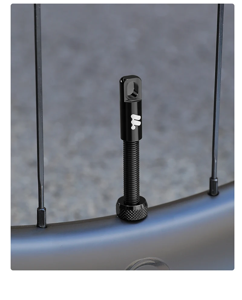 WEST BIKING Fahrrad Tubeless-Reifen Presta-Ventil 44/53/80/85mm Aluminiumlegierung Verlängerungsventil 2 Stück Kernentfernbarer Reifenventilspitze – Detail 18