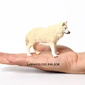 Arctic wolf -2