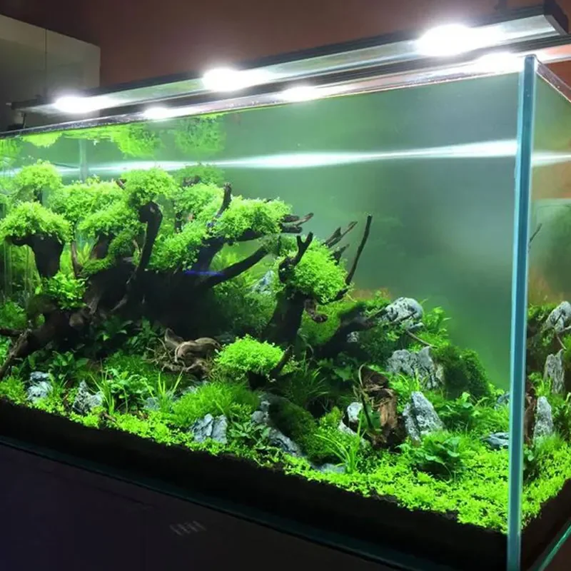 Aquarium Fertilizer Aquatic Plant Substrate Landscaping Materials Aquarium Soil
