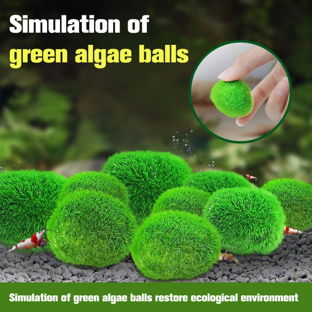 2-3cm Marimo Moss Balls Live Aquarium Plant Algae Fish Shrimp Tank Ornament  Simulation Green Algae Balls Artificial Plant