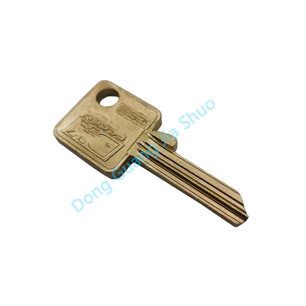 5PCS JS 2420 Lock Key Embryo Imported from Australia and Britain