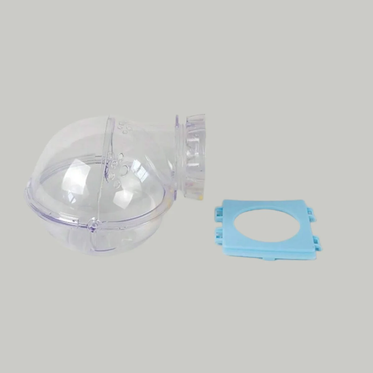 Transparent module