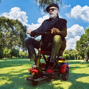 Triciclo elettrico da viaggio per anziani eBike Biciclette elettriche a tre ruote Scooter elettrico pieghevole 300W 36V per disabili con sedile