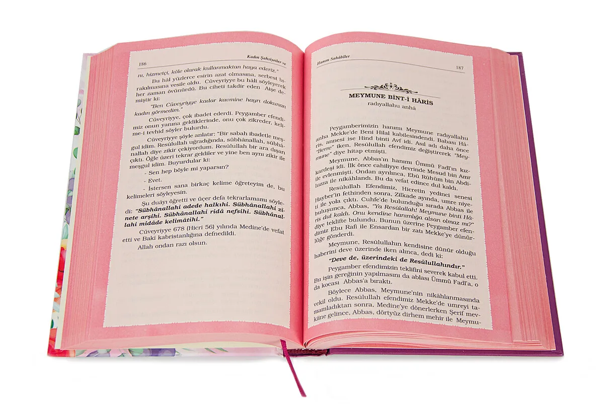 Рисунок 3 - Женские фигурки и подружки Sahabiler