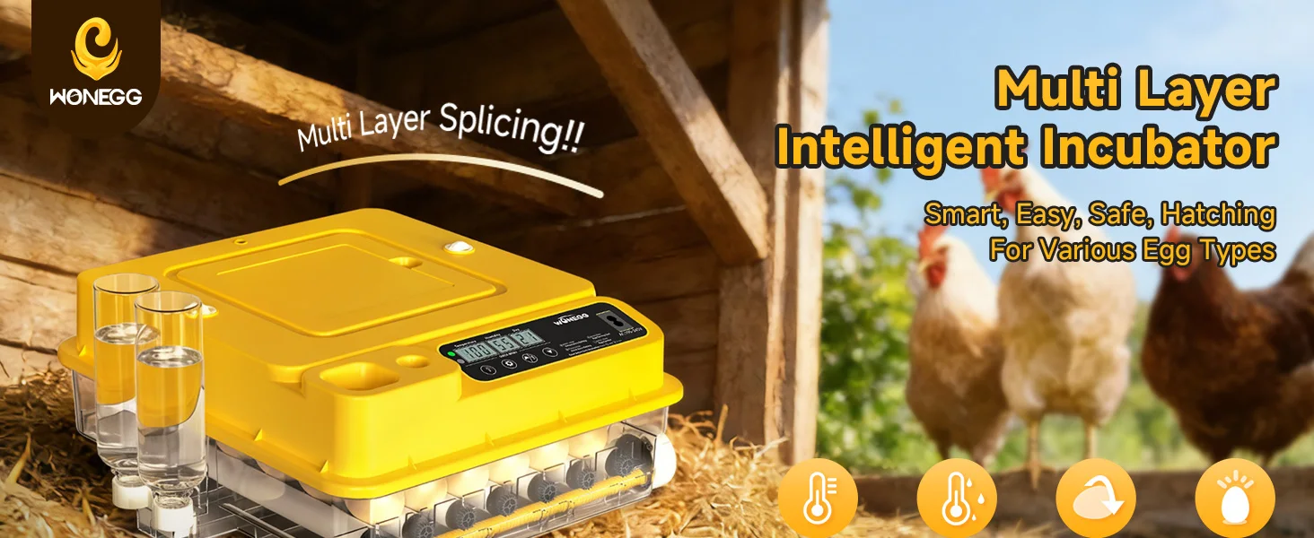 egg incubator full view