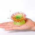 Sea Anemones -2