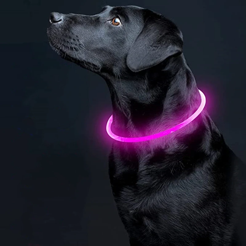 1pc Led Light Dog Collar Detachable Glowing Usb Charging Luminous Leash For Pet Dog Products Usb Charge Luminous Pet Accessories