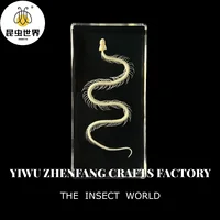 1 Pcs Complete Specimen of Snake Skeleton/ Real Bone/Collection/Garden, Water Tank Decoration Gothic Decor 2