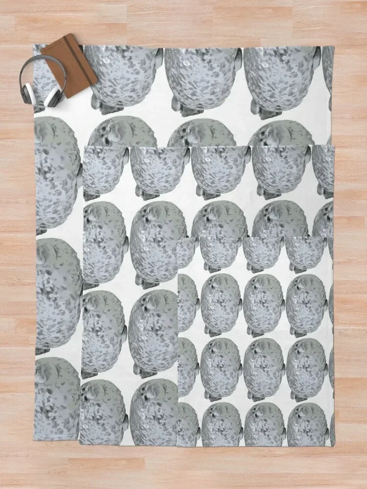 �Ϳ��� ���� Chonky ���� ������ ���, ��Ƽ�� ���Ÿ� �귣�� ��� �� ������ ���