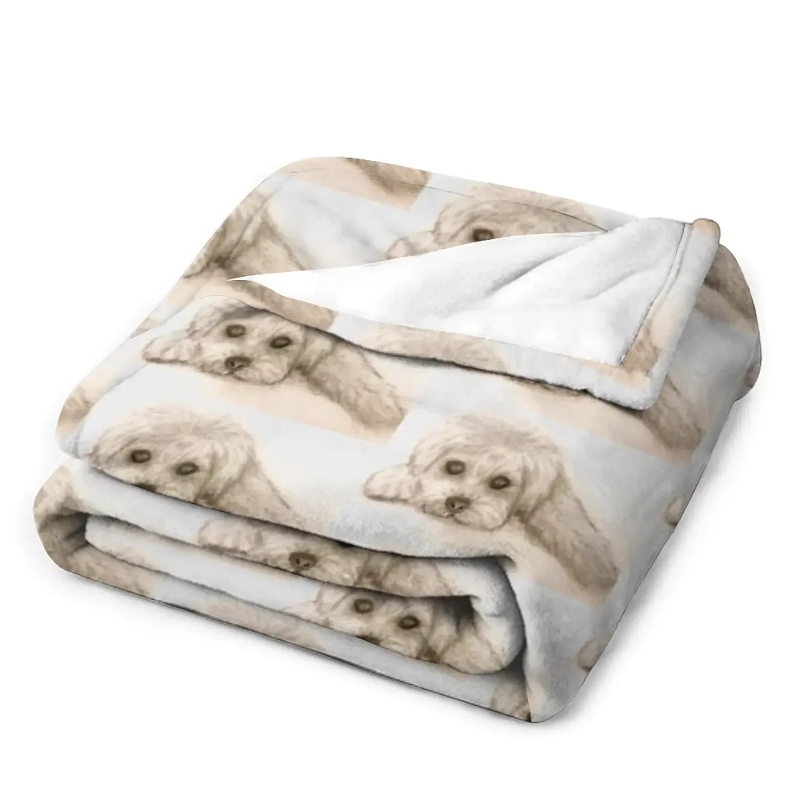 �� ���� �غ��� ���� ���, ���� ���� ������ ���