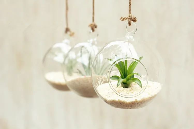 Sf655bd7521cf4b3a9fa75c8a8d721ddaK