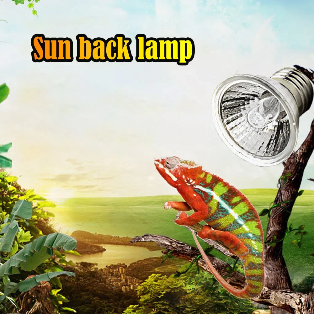 1-10PCS 25/50/75W UVA+UVB Reptile Lamp Bulb Turtle Basking UV Light Bulbs Heating Light Full Spectrum Sunlamp for Amphibians 5