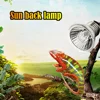 1-10PCS 25/50/75W UVA+UVB Reptile Lamp Bulb Turtle Basking UV Light Bulbs Heating Light Full Spectrum Sunlamp for Amphibians 5