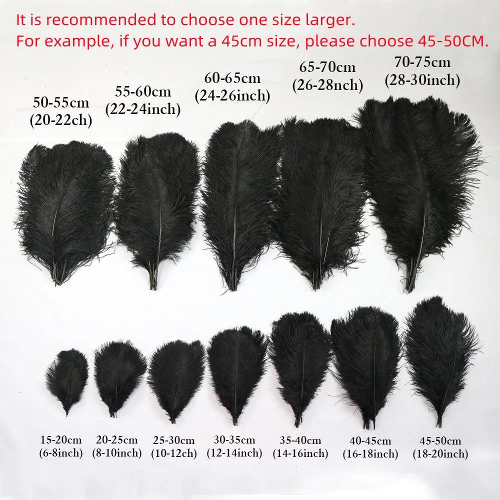 Ostrich Feathers 14-16 (10 pcs) - Black