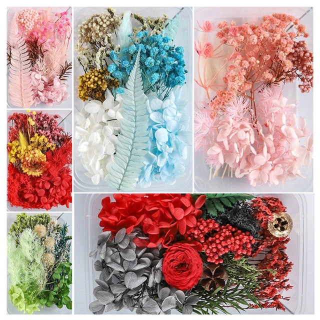 1 Box Real Natural Dried Flower Dry Plants Making Craft DIY Colorful  Aromatherapy Candle Epoxy Resin Jewelry For Home Decoration - AliExpress