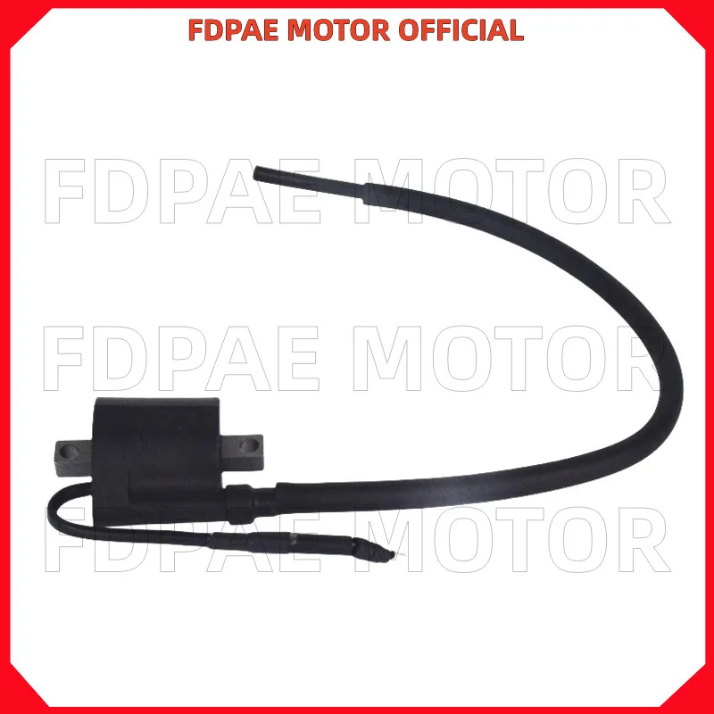 

Катушка зажигания в сборе для Wuyang Honda Wh25-2-9