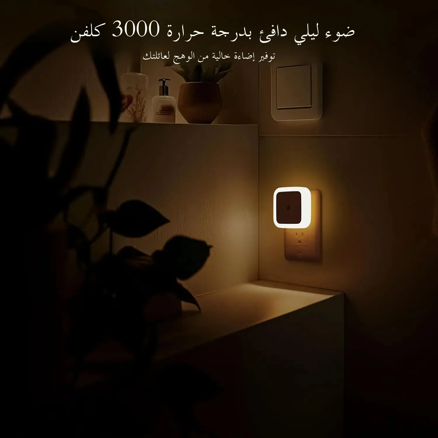 صورة 3