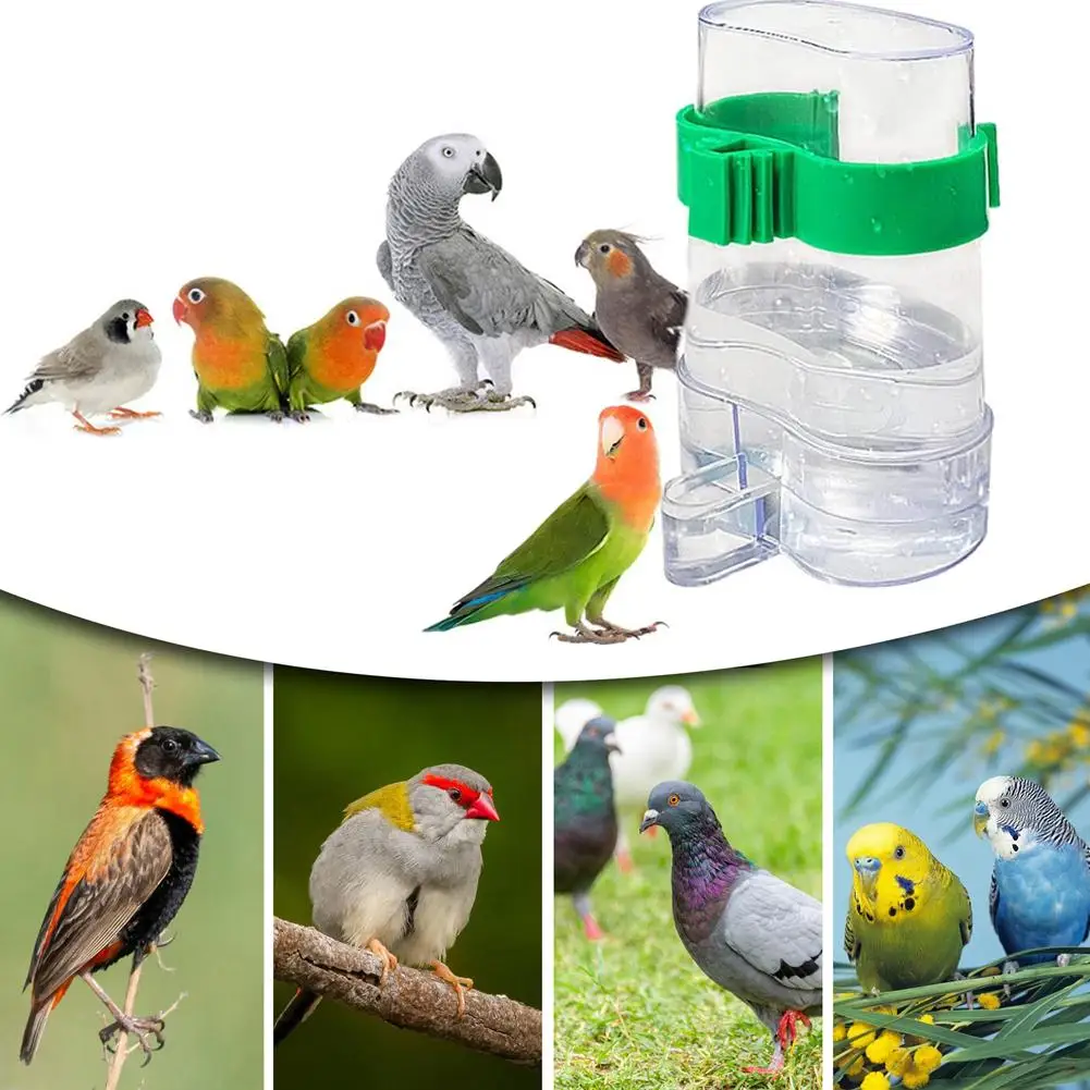 Automatic Bird Feeder Birds Water Feeders Dispenser Automatic Feeder Drinker Hanging Pet Bird Cage Accessories