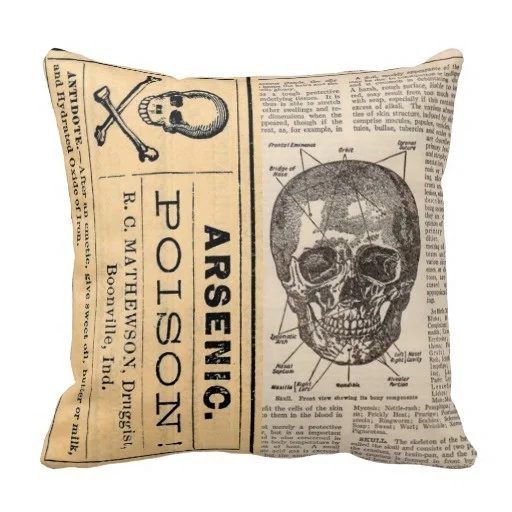 

Vintage Medical Skull Poison Anatomy Pillow Case