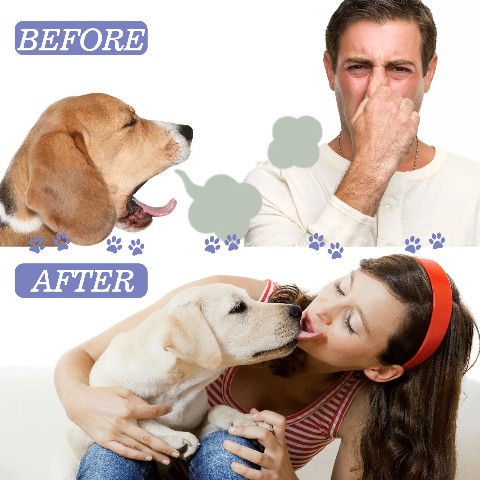 Dog and cat teeth cleaning spray pet mouth cleaning tartar tooth stains to remove odor fresh breath