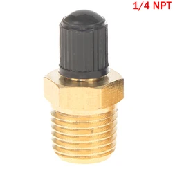 Anti - Corrosion Brass Schrader Tire Valve with Sealing Caps (14 NPT)