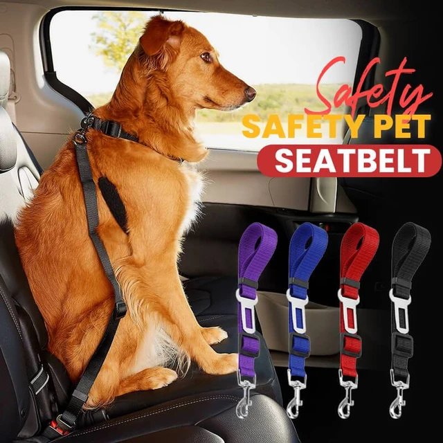 Haustier liefert Auto Sicherheits gurt Hund Sicherheits gurt Hund Leine  Fahrzeug gurt verstellbare Polsterung elastische reflektierende Sicherheits  seil für Hund Katze - AliExpress