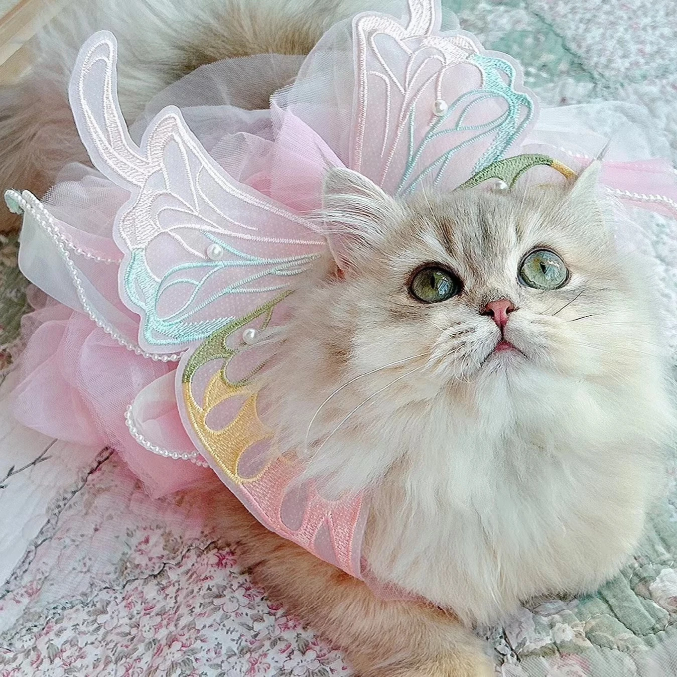 white christmas dresses Cute Dress Cat Clothes – Meowden® main image 1