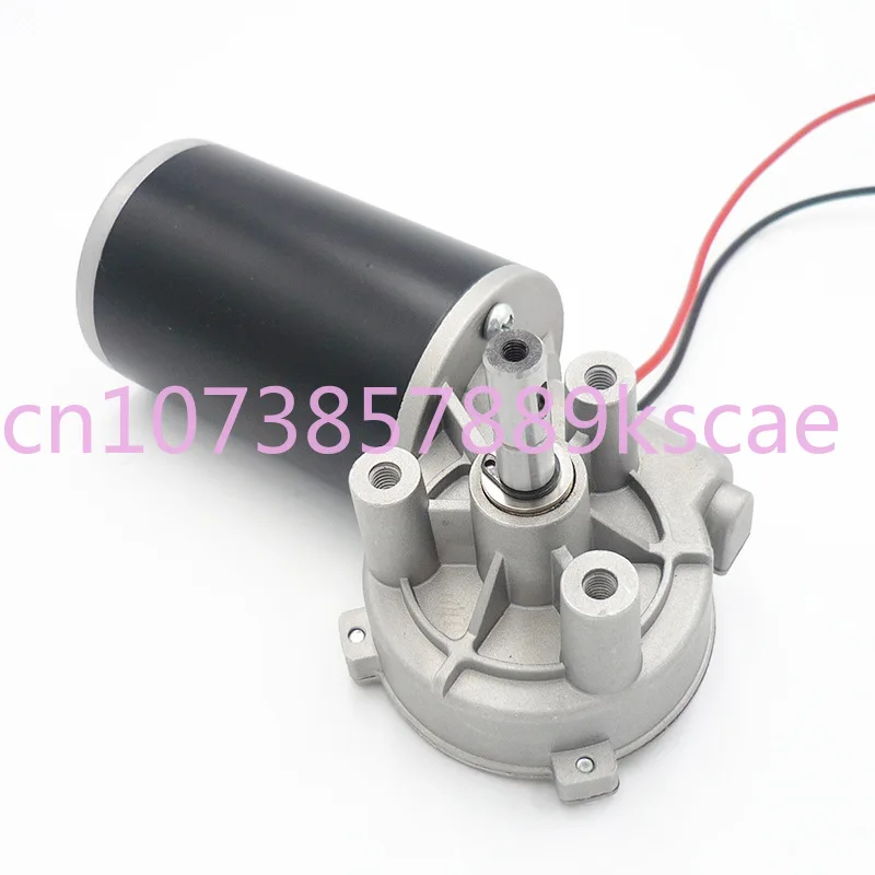 

49mm 12V 24V 36V 48V Worm Gear Forward And Reverse 40kg.cm Left Angle Electrical 40W Worm Gear Brushed DC Motor