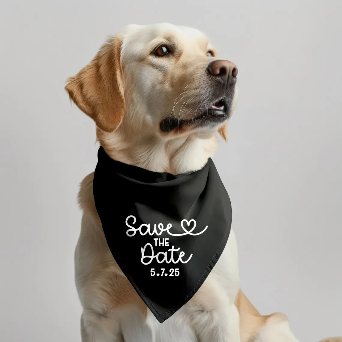 Save The Date-Pañuelo para perro, foto de compromiso personalizada, mis  humanos se casan, accesorio para mascotas, accesorios para fotos de boda -  AliExpress, image size:1140x1140