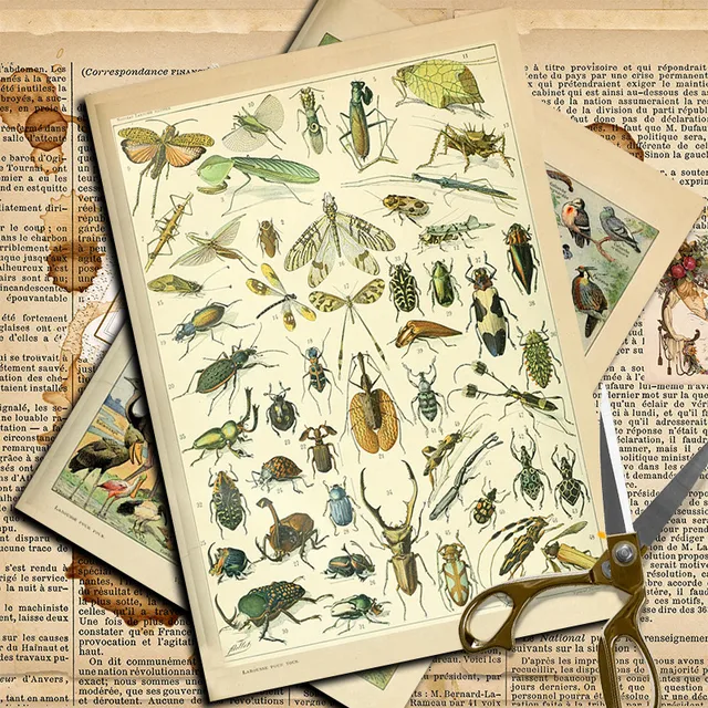 Insect Stickers 5