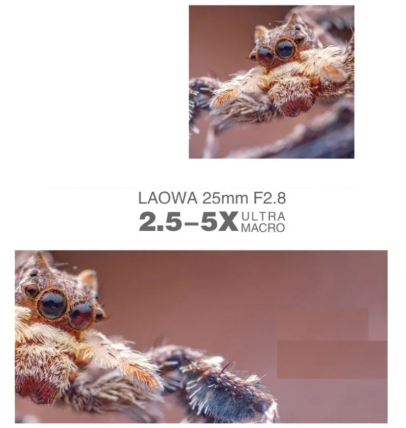 Laowa 25mm f/2.8 2.5-5X Venus Optics 울트라 매크로 렌즈(니콘 Z/캐논 RF/-E/L-마운트용 마운트 및 조명 포함)