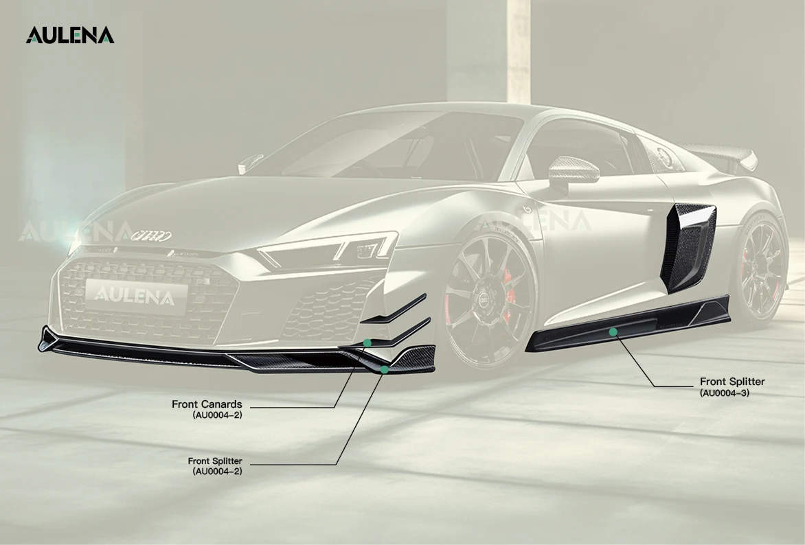 Рисунок 3 - Aulena дизайн для Audi R8 сухой