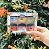 6PCS Lip Balm Healing Moisturizing All-natural Lip Mask For Dry Lips Lip Moisturizing Power Lip Care Nourishing Repair 2