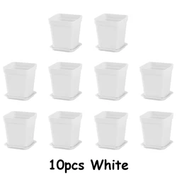 Set of 10 Stylish White Square Plant Pots with Drainage Trays - Perfect for Succulents, Desktop Gardens, and Balcony Decoration (10pcs)