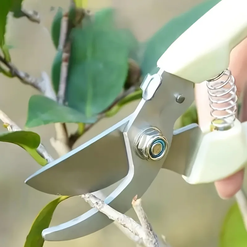 Multifunctional Stainless Steel Fruit Picking Shears Tree Pruning