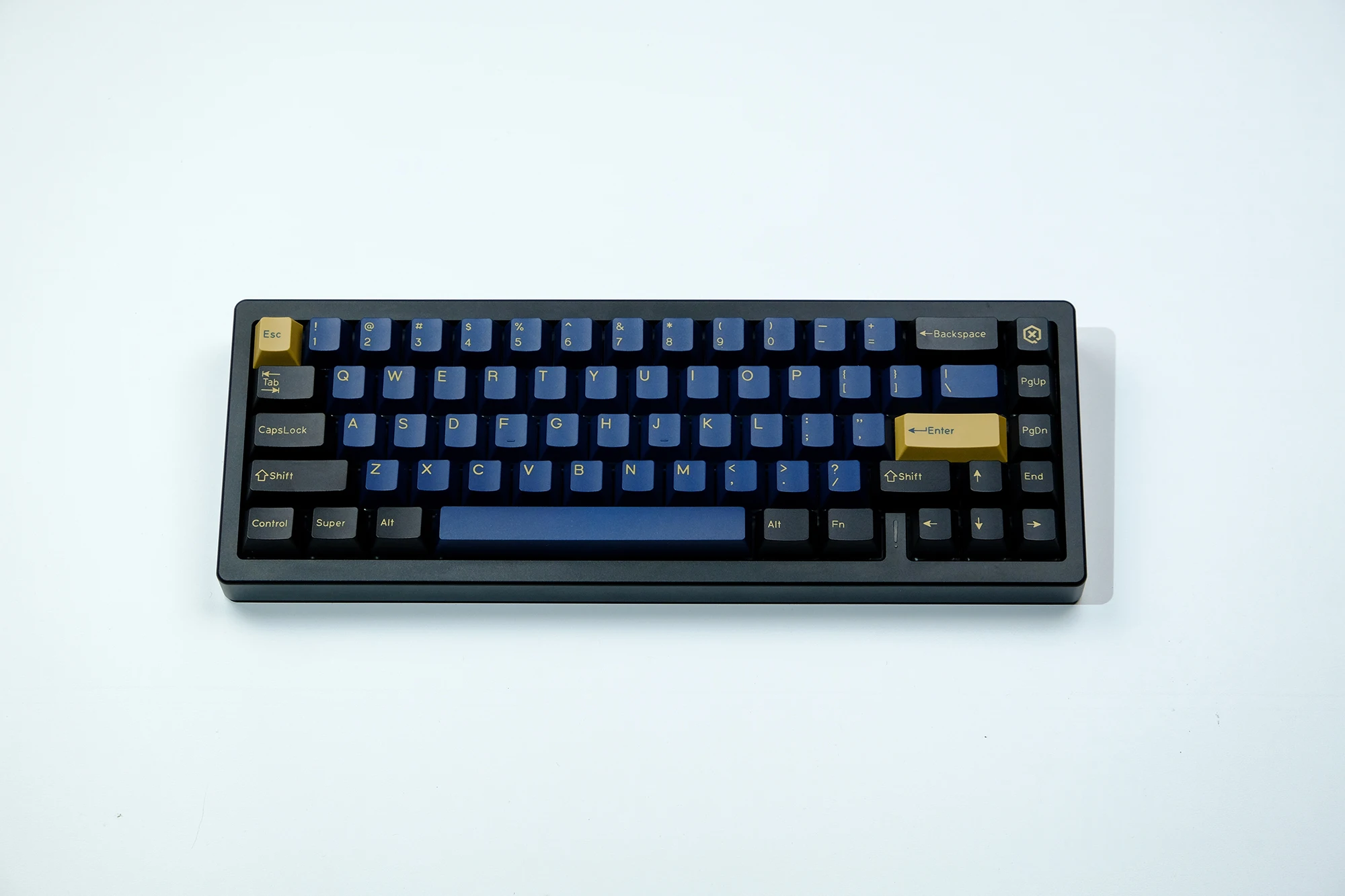 duplo, PBT, ISO, Olivia botânica, Apollo, Ártico, WOB, SHOKO, Nautilus
