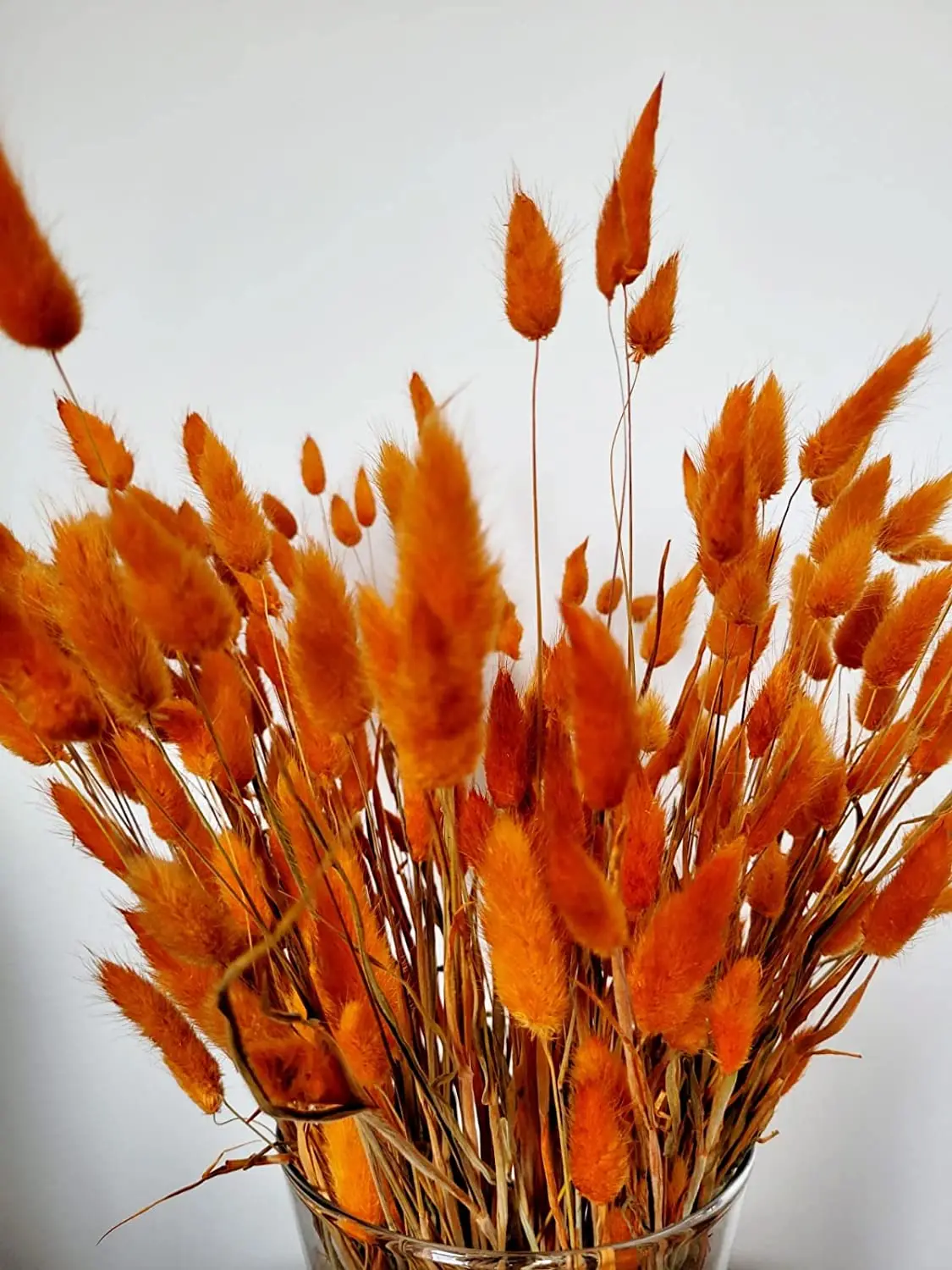 30pcs 100pcs Fluffy Bunny Tails Dried Flowers Arrangement Natural