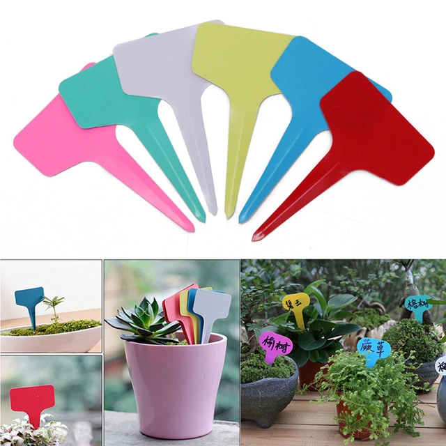 6Db Vegyes Színű Kert Bonsai Cserepes Virágok Címkék Vetőmag Óvodai Növények Jelölik A Pp Válogatási Címkét