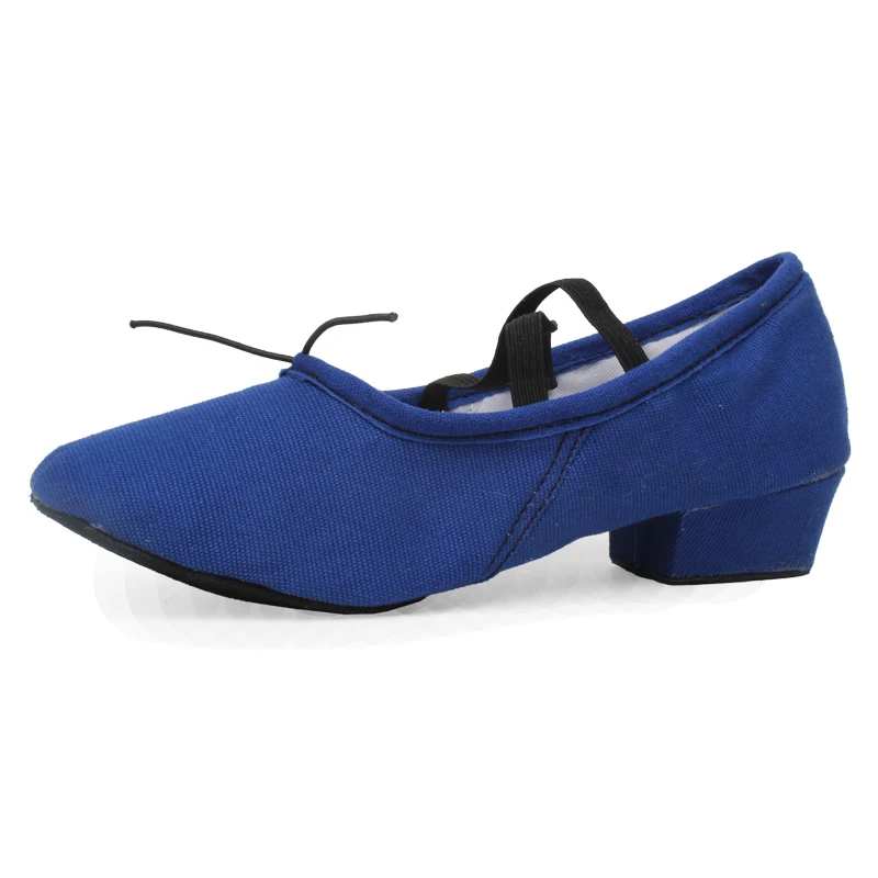 Latin Dance Shoes for Woman Girls Ladies Practise Teachers Shoes