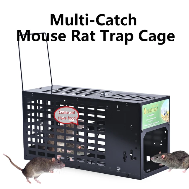2-Pack Humane Rat Cage Traps,Live Mouse Rat Traps Catch And Release For  Indoor Outdoor,Small Animals Traps,Easy To Use - AliExpress