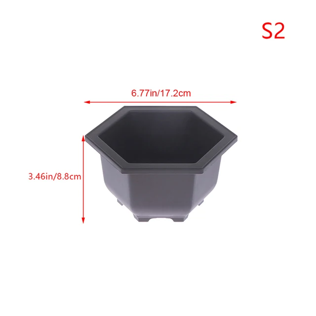 S2