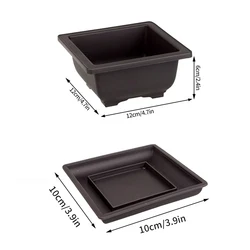 Elegant Rectangular Purple Clay Look Flowerpot for Outdoor Garden and Bonsai Display (Square - M with tray)