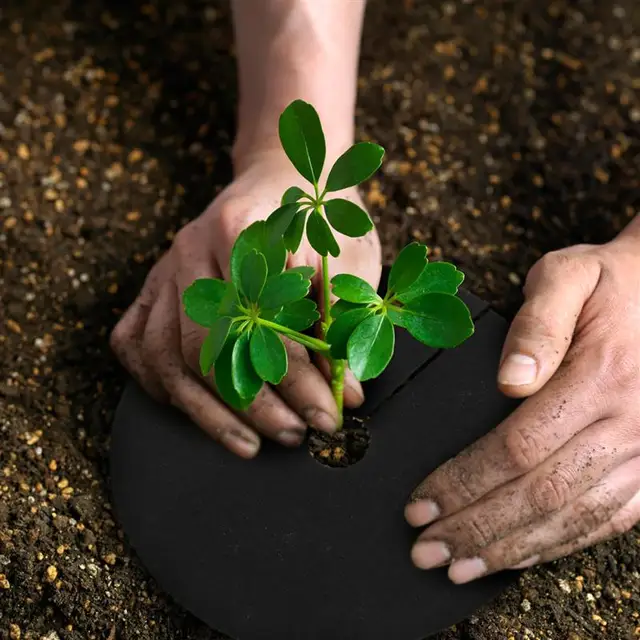 정원을 잡초로부터 보호하고 식물 건강을 증진하는 프리미엄 나무 멀치 링