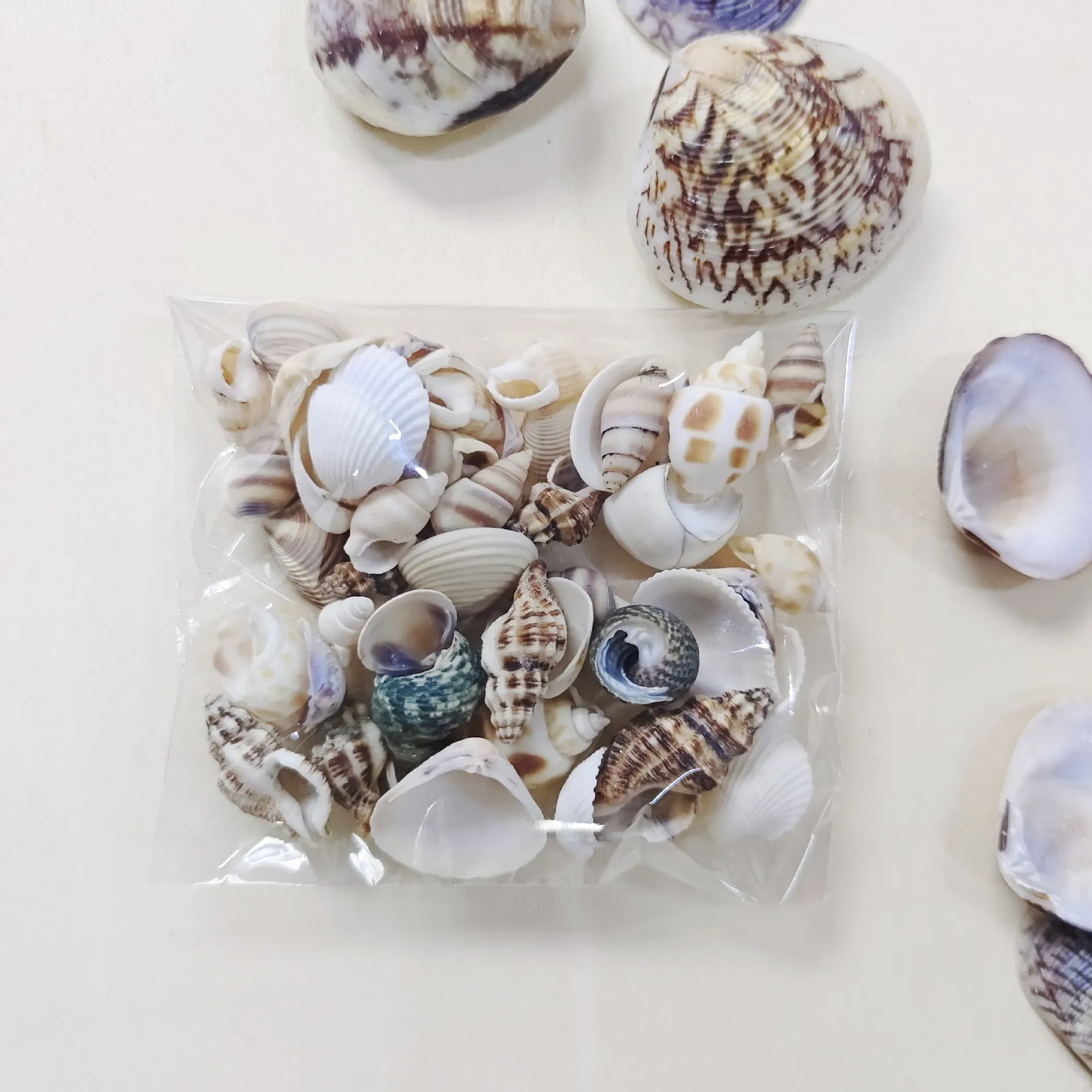 미니 조합 조개껍데기 세트 DIY 공예, 스크랩북, 드리프팅 병, 수족관 장식에 적합