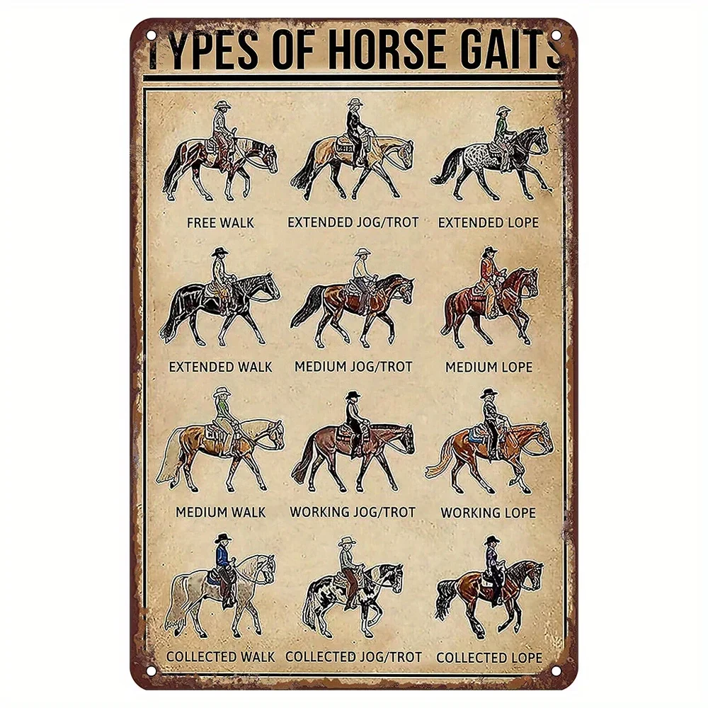 

Types of Horse Gaits Metal Tin Sign, Gift for Horse Lover Farmer Vintage Tin Signs Funny Wall Art Interior Decoration Wall Decor