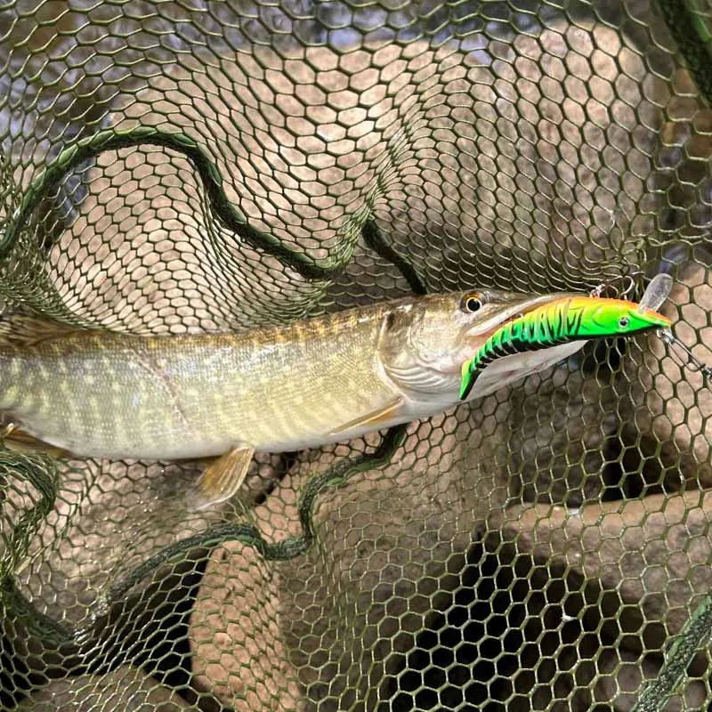 165mm 34g Jointed Crankbait Swimbait – Sinking Hard Bait Wobbler for Pike, Trout, Bass & Trolling 2