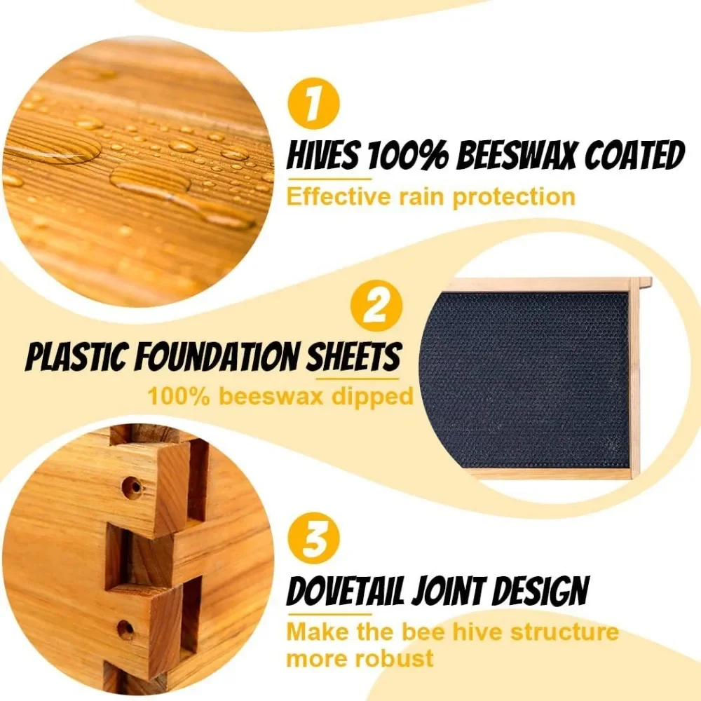 8 Frame Bee Hive Starter Kit and Beekeeping Supplies with Beehive Tool Kit Includes Bee Smoker Beekeeper Hat